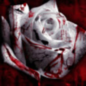 Meet your Posher, Autumn